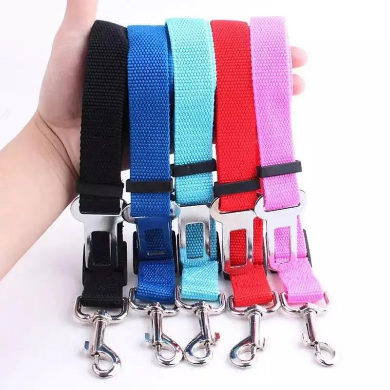 Pet Leash Collar Seat Belt